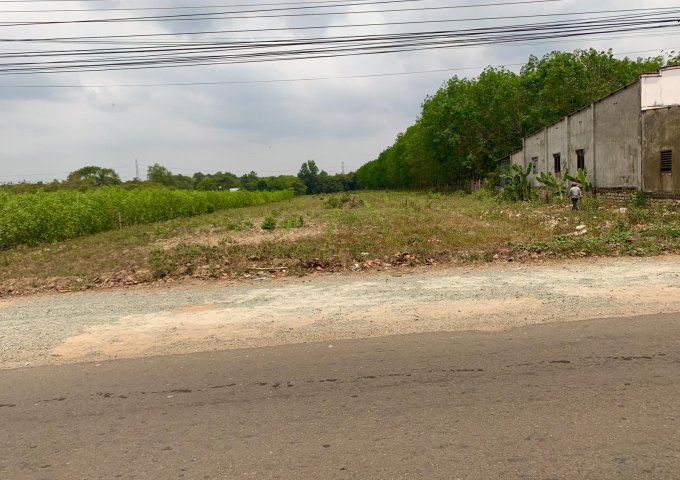 Bán đất tại Đường 51, Long Thành,  Đồng Nai diện tích 426m2