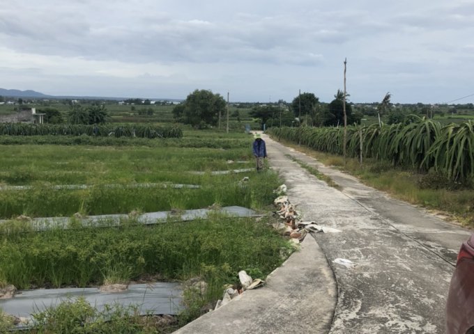 Bán 3 ha đất Tân Hải, thị xã LaGi chưa qua đầu tư
