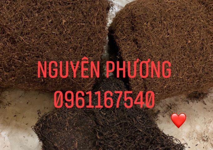 THUỐC LÀO NGUYÊN PHƯƠNG XIN KÍNH CHÀO QUÝ KHÁCH HÀNG
CHUYÊN CUNG CẤP SỈ – LẺ SLL VỀ THUỐC LÀO TẠI THANH HÓA