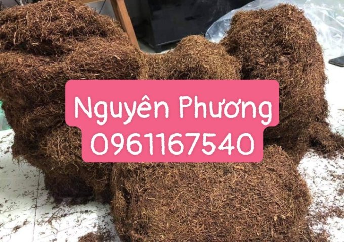 THUỐC LÀO NGUYÊN PHƯƠNG XIN KÍNH CHÀO QUÝ KHÁCH HÀNG
CHUYÊN CUNG CẤP SỈ – LẺ SLL VỀ THUỐC LÀO TẠI THANH HÓA