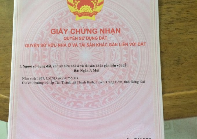 CHÍNH CHỦ CẦN BÁN NHÀ MẶT TIỀN NGÃ 3 PHAN CHU TRINH, XÃ CÂY GÁO, TRẢNG BOM, ĐỒNG NAI