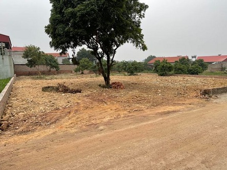 Bán mảnh đất 1000m tại Thanh Trí, Minh Phú, Sóc Sơn, HN