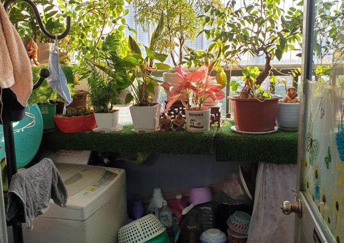 Cần bán gấp căn hộ tại OCT1 X1 DN1 Bắc Linh đàm 50m2 thiết kế 2 ngủ