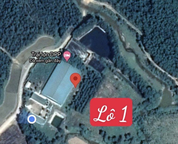 CẦN BÁN 2 TRANG TRẠI NUÔI LỢN THUỘC SỞ HỮU CỦA CÔNG TY TNHH DPP ( THANH HÓA )