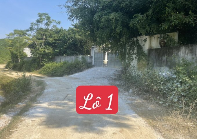 CẦN BÁN 2 TRANG TRẠI NUÔI LỢN THUỘC SỞ HỮU CỦA CÔNG TY TNHH DPP ( THANH HÓA )