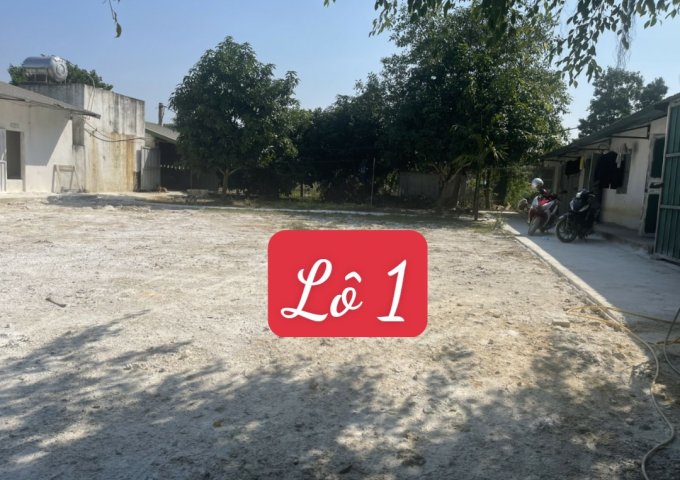 CẦN BÁN 2 TRANG TRẠI NUÔI LỢN THUỘC SỞ HỮU CỦA CÔNG TY TNHH DPP ( THANH HÓA )