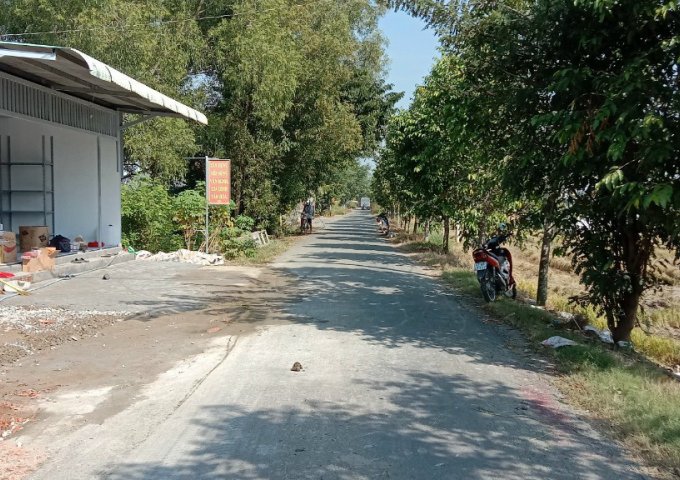 BÁN ĐẤT MẶT TIỀN BÙI TẤN , XÃ NHƠN THẠNH TRUNG , TP TÂN AN