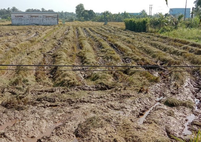 BÁN ĐẤT MẶT TIỀN BÙI TẤN , XÃ NHƠN THẠNH TRUNG , TP TÂN AN