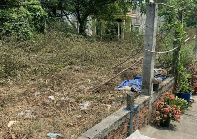 Bán gấp lô đất xã Xuân Thới Thượng,Huyện Hóc Môn, 492m2 9,6 x 53m full thổ cư.