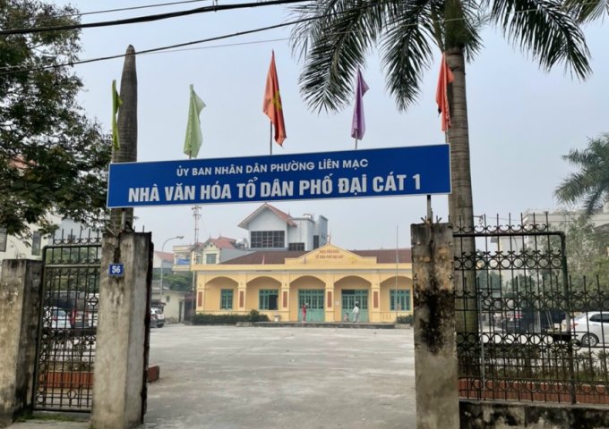 Chính chủ bán đất cạnh nhà văn hóa Đại Cát, Liên Mạc, giá đầu tư tổt.