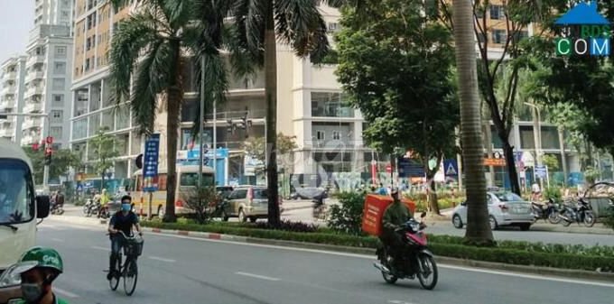 Chính chủ bán nhà 5 tầng mặt phố Nguyễn Cơ Thạch, Mỹ Đình, Nam Từ Liêm, Hà Nội.