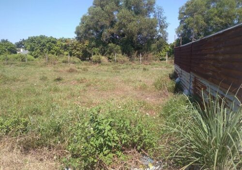 CẦN BÁN ĐẤT ĐƯỜNG NGUYỄN THỊ XƯA, XÃ VĨNH LỘC A, HUYỆN BÌNH CHÁNH