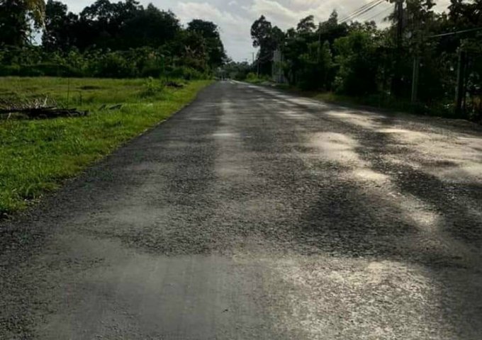 CHÍNH CHỦ CẦN TIỀN BÁN GẤP CÒN DUY NHẤT 1LÔ NỀN ĐẸP KHU VỰC PHƯƠNG THẠNH , CÀNG LONG ,TRÀ VINH