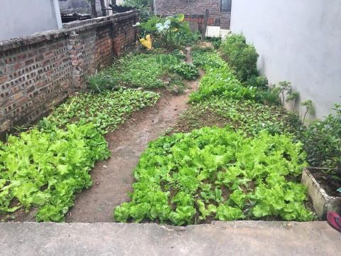 Chính chủ cần bán lô đất tại Xã Vân Canh- Hoài Đức- Hà Nội