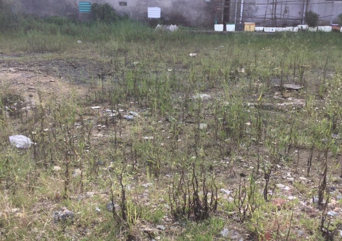 BÁN ĐẤT ĐẤU GIÁ KHỐI 6, ĐƯỜNG XUÂN THÁI, PHƯỜNG QUÁN BÀU, VINH, NGHỆ AN