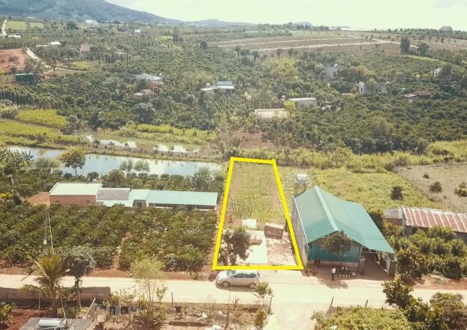 CHÍNH CHỦ GỬI BÁN LÔ ĐẤT NỀN ĐÔNG THANH 2 – LÂM HÀ – LÂM ĐỒNG. LIÊN HỆ: 0983847944