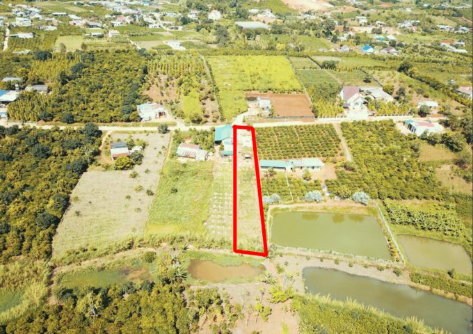 CHÍNH CHỦ GỬI BÁN LÔ ĐẤT NỀN ĐÔNG THANH 2 – LÂM HÀ – LÂM ĐỒNG. LIÊN HỆ: 0983847944