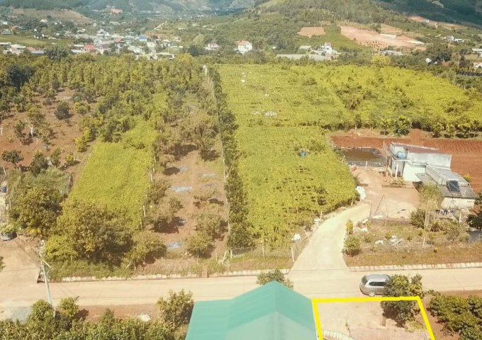 CHÍNH CHỦ GỬI BÁN LÔ ĐẤT NỀN ĐÔNG THANH 2 – LÂM HÀ – LÂM ĐỒNG. LIÊN HỆ: 0983847944