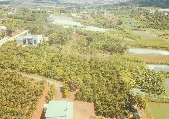 CHÍNH CHỦ GỬI BÁN LÔ ĐẤT NỀN ĐÔNG THANH 2 – LÂM HÀ – LÂM ĐỒNG. LIÊN HỆ: 0983847944