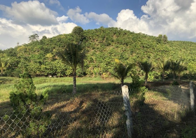 CUỐI NĂM CẦN BÁN GẤP LÔ ĐẤT TẠI THÔN 11 – B’LAO – TP BẢO LỘC. LIÊN HỆ: 0708365685