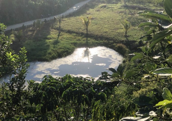 CUỐI NĂM CẦN BÁN GẤP LÔ ĐẤT TẠI THÔN 11 – B’LAO – TP BẢO LỘC. LIÊN HỆ: 0708365685