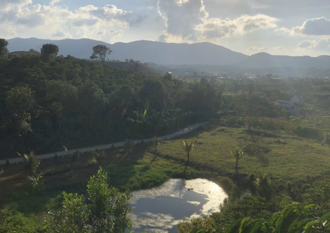 CUỐI NĂM CẦN BÁN GẤP LÔ ĐẤT TẠI THÔN 11 – B’LAO – TP BẢO LỘC. LIÊN HỆ: 0708365685