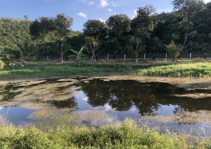 CUỐI NĂM CẦN BÁN GẤP LÔ ĐẤT TẠI THÔN 11 – B’LAO – TP BẢO LỘC. LIÊN HỆ: 0708365685