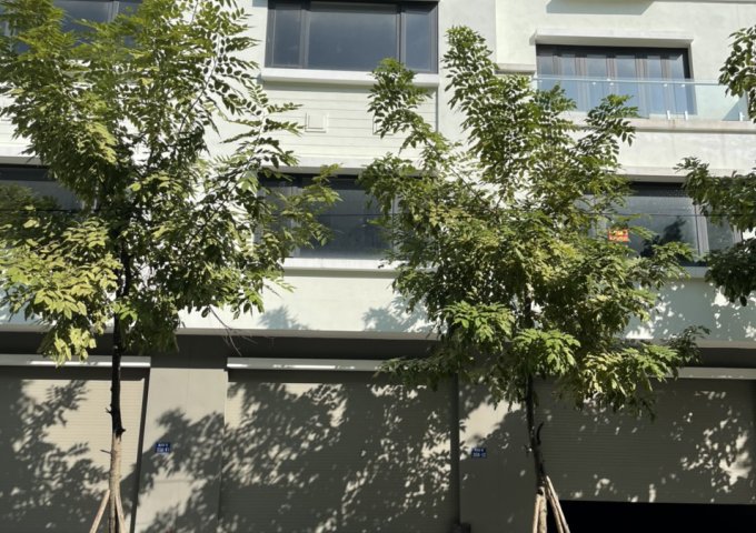 SẴN HÀNG LÔ B50 GẦN MẶT ĐƯỜNG LÊ TRỌNG TẤN 