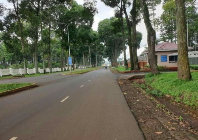 BÁN ĐẤT THỔ CƯ TRUNG TÂM PHƯỜNG XUÂN LẬP - TP LONG KHÁNH,ĐỒNG NAI