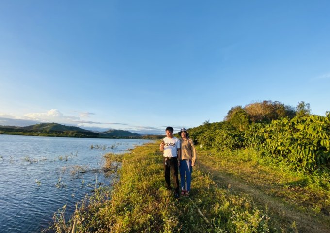 Chính chủ Cần Bán gần 10.000m2 View Hồ Cá Tại Đắk Hà, Kon Tum