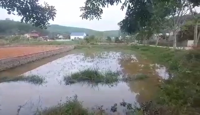 CHÍNH CHỦ CẦN BÁN LÔ ĐẤT CÓ VỊ TRÍ ĐẸP 3 MT TẠI XÃ HÙNG THÀNH, HUYỆN YÊN THÀNH, NGHỆ AN