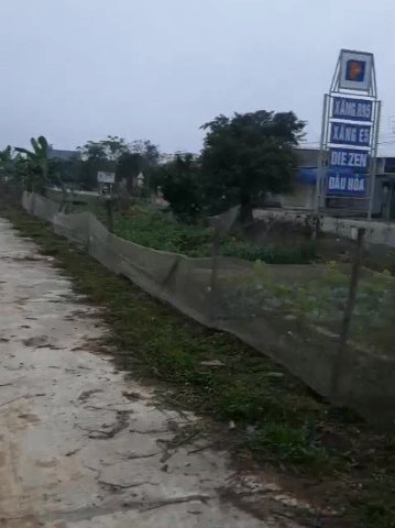 CẦN BÁN ĐẤT ĐẤU GIÁ VĂN THÀNH, HUYỆN YÊN THÀNH, NGHỆ AN