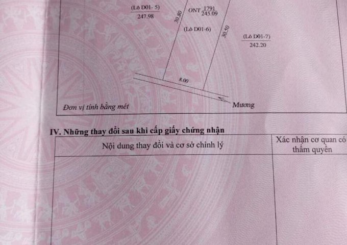 CẦN BÁN ĐẤT ĐẤU GIÁ VĂN THÀNH, HUYỆN YÊN THÀNH, NGHỆ AN