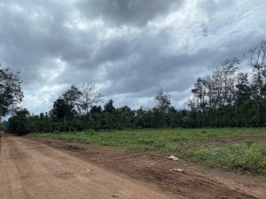 Cần Bán Lô Đất Vị Trí Đẹp Tại Huyện Cư M'gar - Dak Lak