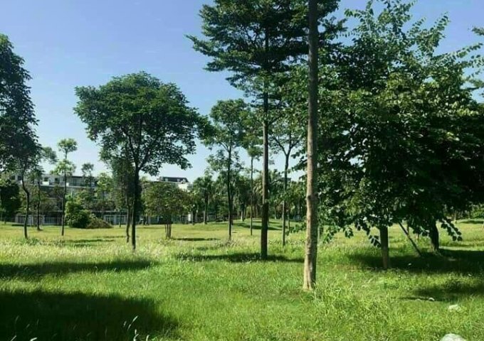 WEST POINT NAM 32 ĐC: Thị Trấn Trôi, Hoài Đức, HN