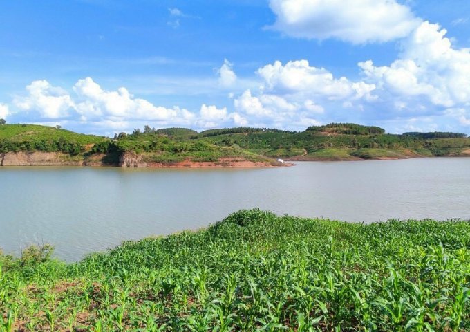 Bán Đất View Sông Đa Nhim - Phú Hộ- Đức Trọng, Thích hợp Đầu Tư giá từ 3,8tr/m2