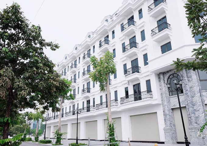 The Phoenix Từ Sơn, Bắc Ninh, Trung Tâm Thành Phố