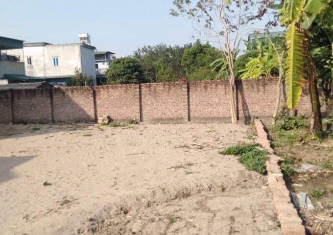 CHÍNH CHỦ CẦN RA ĐI LÔ ĐẤT TẠI XÃ LIÊN HỒNG, TP. HẢI DƯƠNG