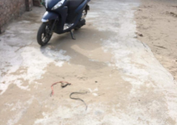 CHÍNH CHỦ CẦN RA ĐI LÔ ĐẤT TẠI XÃ LIÊN HỒNG, TP. HẢI DƯƠNG