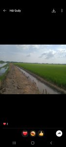 Chính chủ cần bán gấp đất ruộng vị trí đẹp tại Tây Ninh