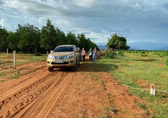 ĐẤT KHU DT719B NẰM SAU LƯNG NOVAWORLD TIẾN THÀNH, TP.PHAN THIẾT, BÌNH THUẬN ĐANG LÀ KHU HOT CỦA THỊ TRƯỜNG (MIỄN QC)