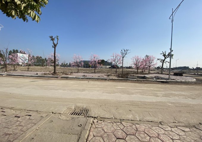 Bán đất nền dự án tại Đường Bạch Đằng, Kim Thành,  Hải Dương diện tích 100m2  giá 20 Triệu/m²