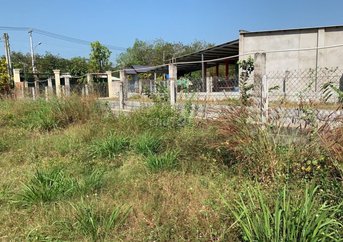 Cho thuê đất mặt tiền khu dân cư gần ngã 4 Xóm mới, gần trường học An Nhơn Đông Huyện Củ Chi, TP Hồ Chí Minh