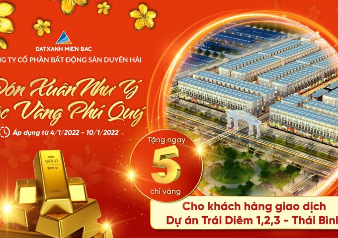 Bán đất nền dự án tại Xã Tây Giang, Tiền Hải,  Thái Bình diện tích 100m2  giá 22.5 Triệu/m²