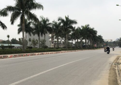 Chính chủ bán đất mặt đường đại lộ CSEDP phường Đông Vệ, thành phố Thanh Hoá ( cách bệnh biện nhi 150m)