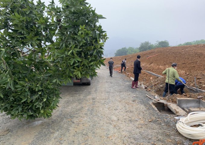 Làng biệt thự MELORITA HÒA LẠC cứng tầm đẳng cấp CHÂU ÂU