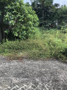 Chính Chủ Cần Bán Đất Vị Trí Đẹp Tại Thành Phố Hồ Chí Minh