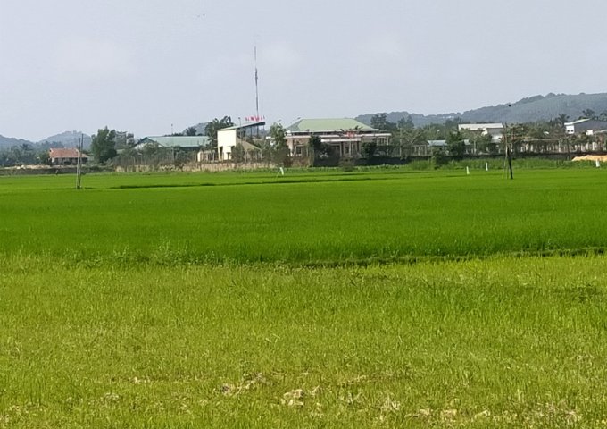 SIÊU PHẨM ĐẤT ĐẸP, GIÁ ĐẦU TƯ TẠI THỊ TRẤN PHƯỚC CÁT, CÁT TIÊN, LÂM ĐỒNG