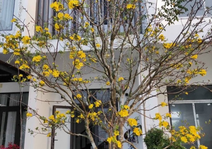 Căn góc 3 tầng 239m2 vị trí đắc địa tại khu C Royal Park Huế