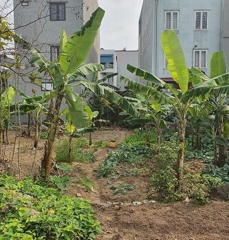 Chính chủ bán đất tại Khu Đô Thị Tân Phố Hiến, TP. Hưng Yên